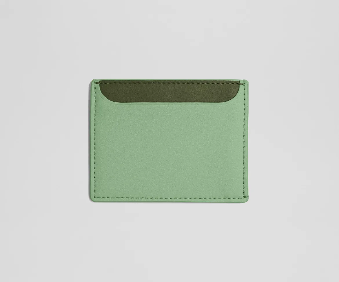 Card Case in Sea Green