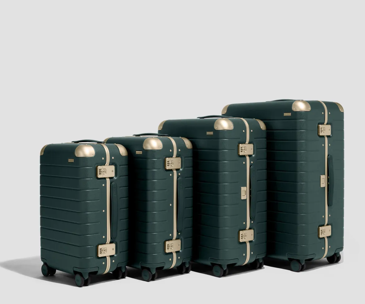 The Aluminum Edge Medium in Ivy Green
